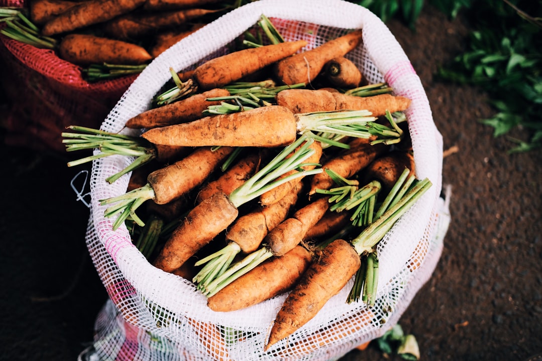 Photo Vegetable stir-fry